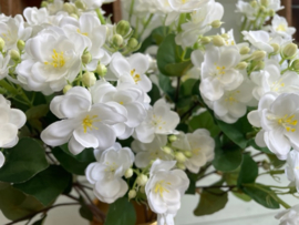 Kunstbloemen Jasmijn wit, hoogte 59 cm