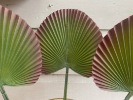 Kunstpalm blad, bladeren van de palmboom, rubber 17x17.5 cm
