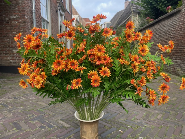 Kunstbloemen Madelief takken oranje hoogte 87 cm