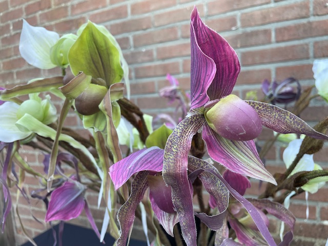 Kunstbloemen orchidee cypripedium hoogte 80 cm