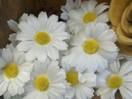 Kunstbloemen madeliefjes wit, diameter 5,5 cm
