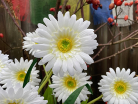 Kunstbloemen gerbera wit tak/boeket met 3 bloemen hoogte 55 cm