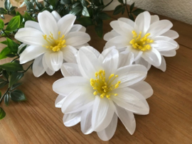 Kunstbloemen Dahlia wit, diameter 12 cm