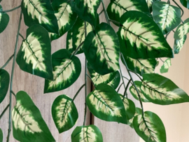 Kunstplant, hangplant dieffenbachia