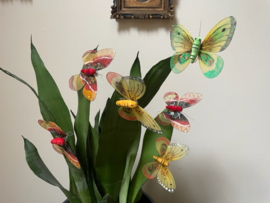 Vlinders t.b.v. kunstbloemen decoratie, carnavalskostuum, jungledecoratie