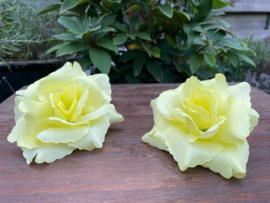 Kunstbloemen licht gele rozen, diameter 10 cm