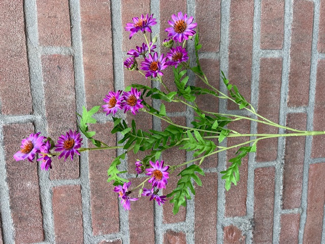Kunstbloemen madelief takken paars, hoogte 87 cm