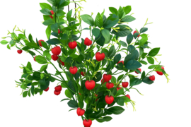 Grote kunsttakken van de lampionplant rood hoogte 110 cm