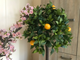 Kunstboom citrusboom, 95 cm