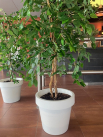 Kunstplanten staand in een witte pot