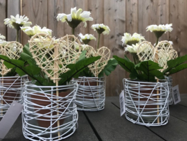 bruiloft decoratie, tafelversiering gerbera in een witte glazen pot