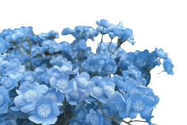 Kunstbloemen boterbloem blauw hoogte 60 cm