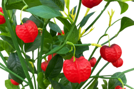 Grote kunsttakken van de lampionplant rood hoogte 110 cm