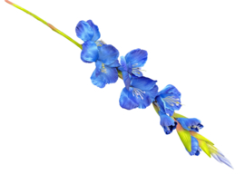 Kunstbloemen, kunsttak blauwe gladiool hoogte 84 cm
