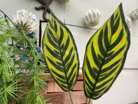 Kunstplanten blad van de croton plant 20x9 cm