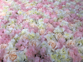 Flowerwall peach, gebroken-wit, roze 120x80 cm