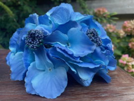 Kunstbloemen zonder steel, hortensia blauw diameter 16 cm