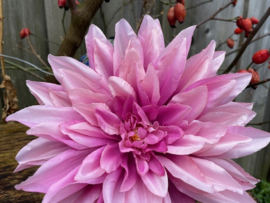 Kunstbloemen dahlia roze, diameter 20 cm