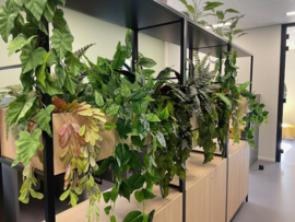 Kunstplanten jungle decoratie school/kantoor