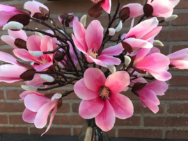 Magnoliaboom op stam van hout, roze kunstbloemen/magnolia