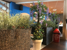 Kunstbomen/kunstplanten gouden regen restaurant de boskamer Putten