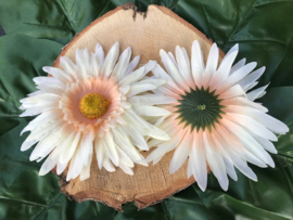 Kunstbloemen, gerbera, lichtgeel/peach 14 cm