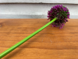 Kunstbloem allium "sierui" 34 cm paars