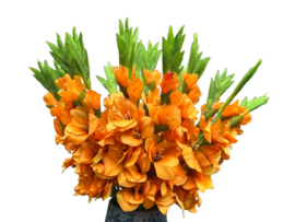 Kunstbloem oranje gladiool 75 cm