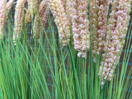 Houten plantenbakken gevuld met kunst siergras/siergrassen