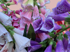 Kunstbloemen, kunsttakken ridderspoor hoogte 79 cm