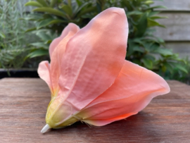 Kunstbloemen amaryllis peach, diameter 14 cm