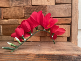 Kunstbloemen fresia rood, steel 14 cm, 6 bloemen