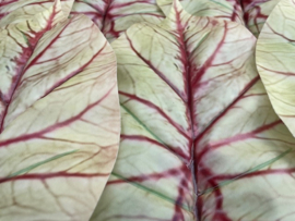 Kunstbladeren met brede nerf lichtgroen/rood