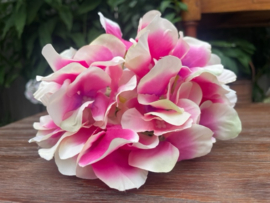 Kunstbloemen hortensia creme-roze diameter 14 cm