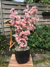 Kunst bloesemboom, gemaakt op een stam van echt hout met roze kunstbloesem