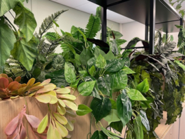 Kunstplanten jungle decoratie school/kantoor