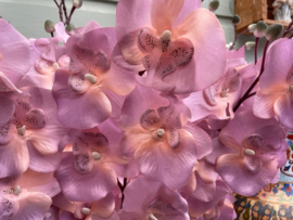 Kunstbloemen orchidee tak roze/creme hoogte 72 cm