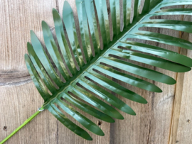 Kunst palmboom/palmplant bladeren, kunstbladeren 34x19 cm