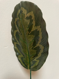 Kunstbladeren, donkergroen met pauwenoog patroon 19.5x12 cm