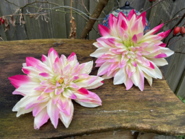 Kunstbloemen dahlia creme/roze diameter 20 cm
