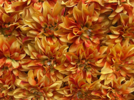 Kunstbloemen dahlia gevlamd oranje, diameter 15 cm