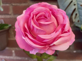 Kunstbloemen, pioenrozen licht roze diameter 10 cm