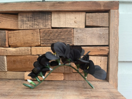 Kunstbloemen fresia zwart, steel 14 cm, 6 bloemen