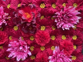 Flowerwall-bloemenmuur paneel 40x60 cm rood/roze
