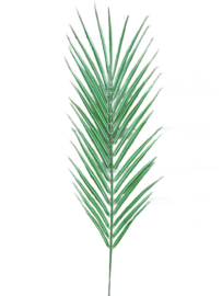 Kunstbladeren, kunst palmblad, palmbladeren 36x12 cm