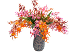 Kunstbloemen orchidee takken met verschillende kleuren 78 cm