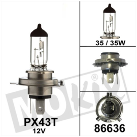 lamp PX43T 12V 35/35W HS1