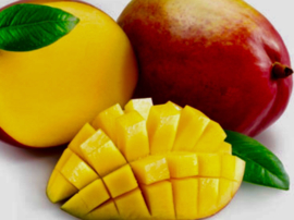 Crema di frutta Mango