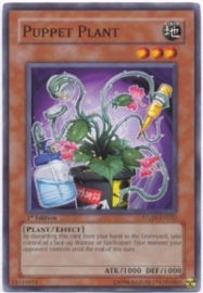 Puppet Plant - Unlimited - STON-EN022