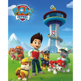 Paw Patrol - Team (M33)